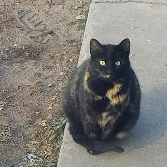 Meet your Posher, Melissa - Picture 1 of 1